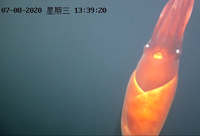 56体育备用网址