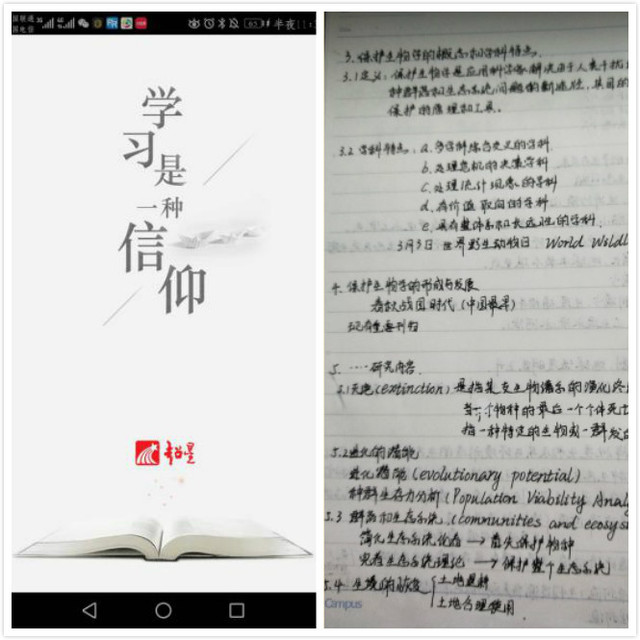 56体育加速节点