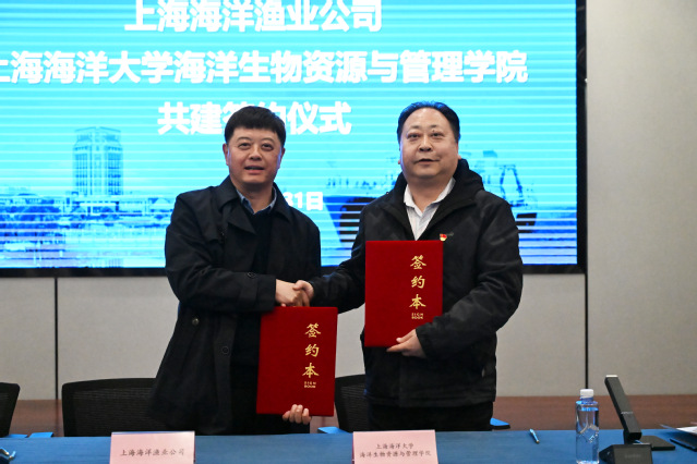 56体育核心通道