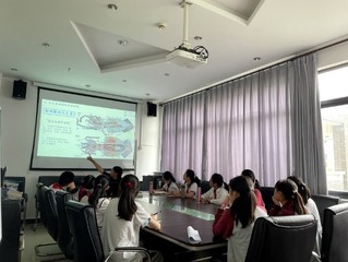 56体育官方指定端