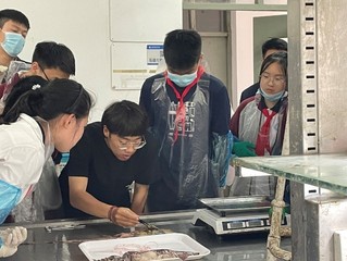 56体育客户端