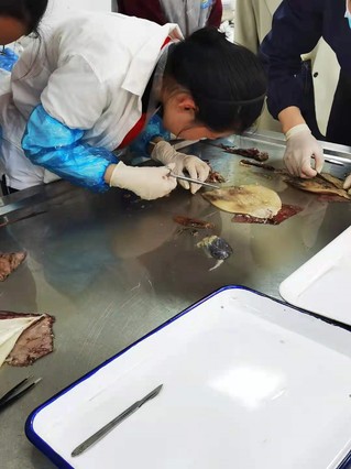 56体育备用网址