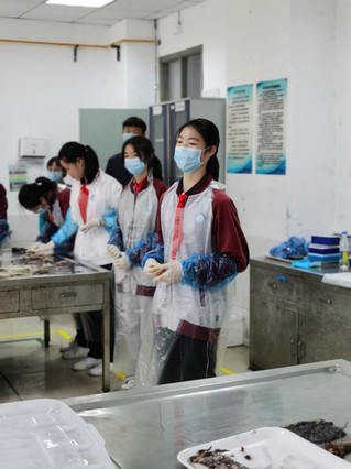 56体育欧冠直播