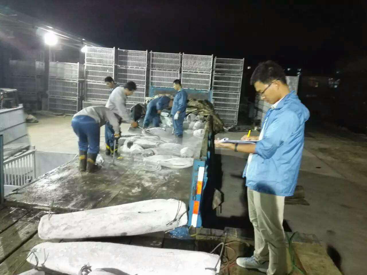 56体育稳定线路