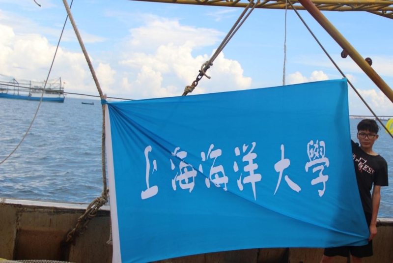 56体育直播