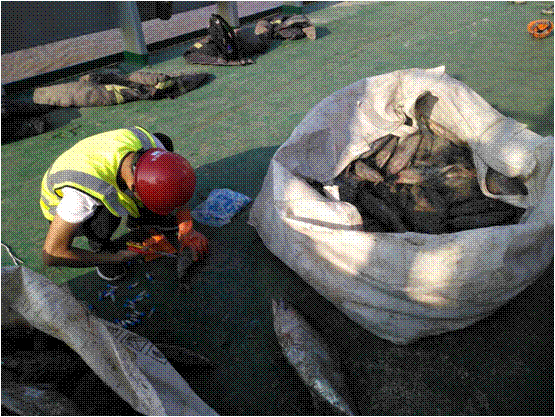 56体育备用网址