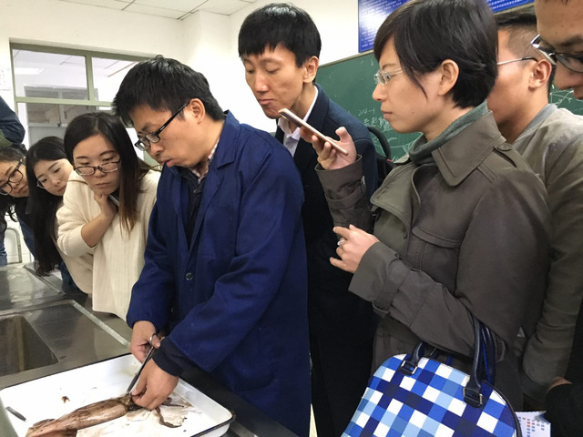 56体育赛事资讯平台