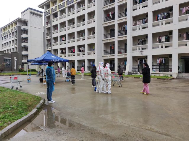 56体育官方线路