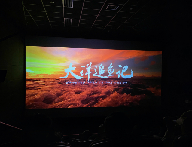 56体育官方指定端