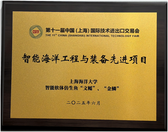 56体育体育频道