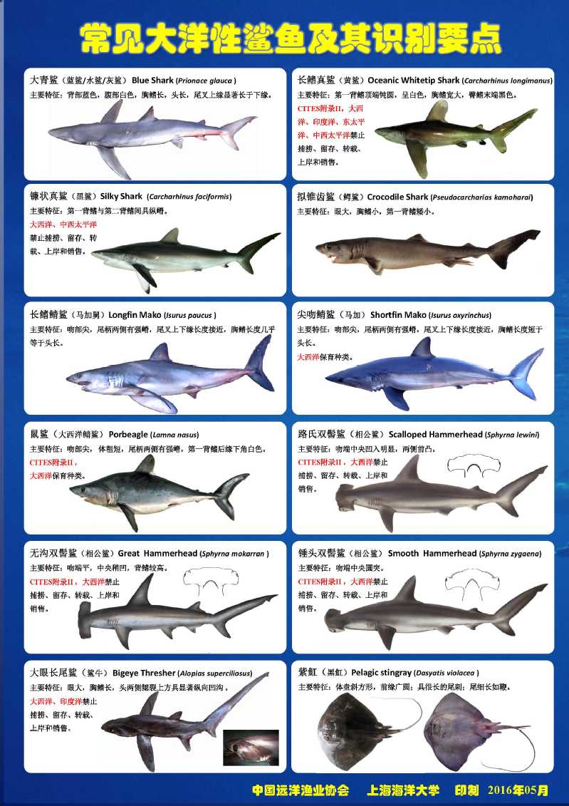 56体育数据中心
