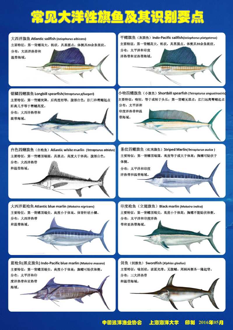 56体育体育频道