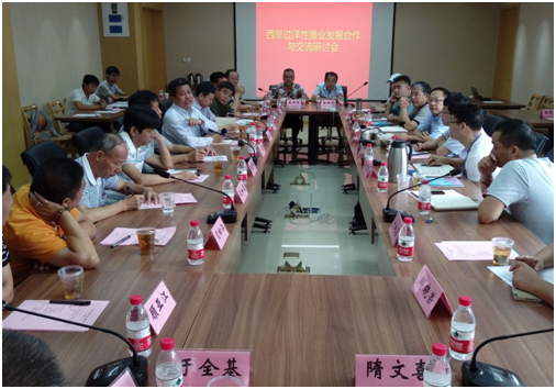 56体育官方指定端