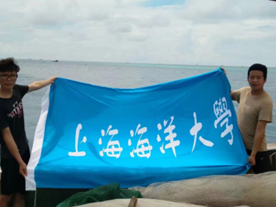 56体育官方线路