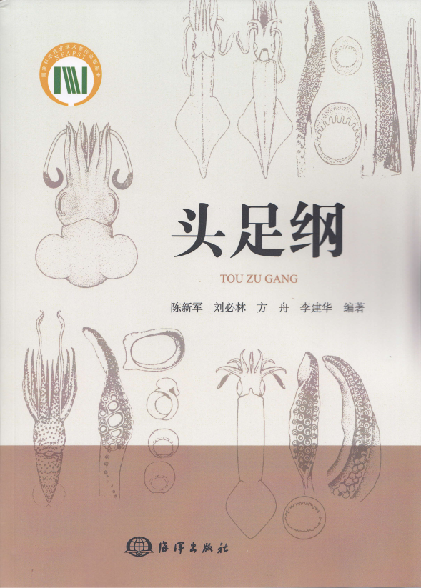 56体育欧冠直播
