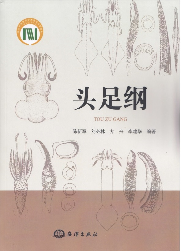 56体育核心通道