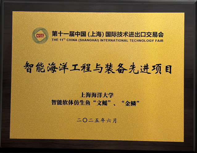 56体育稳定线路