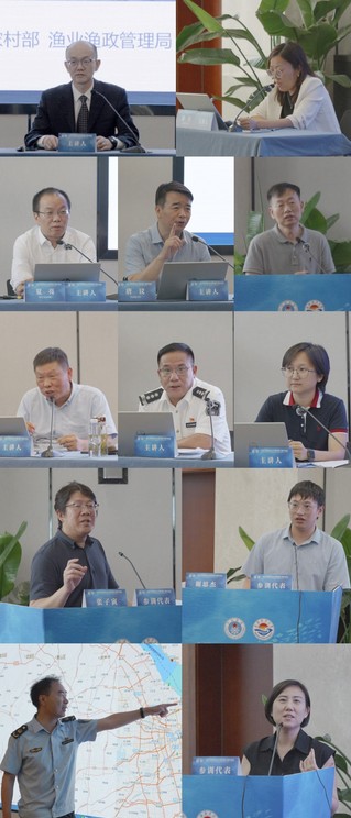 56体育APP下载