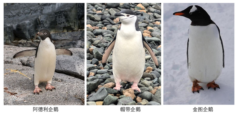 56体育欧冠直播
